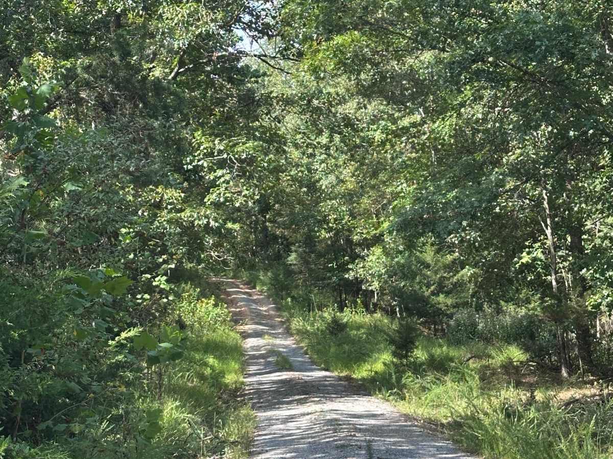Whiting Tract trail photo
