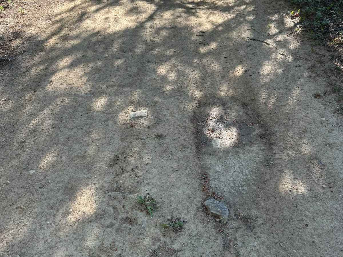 Kinney Creek Road photo 3