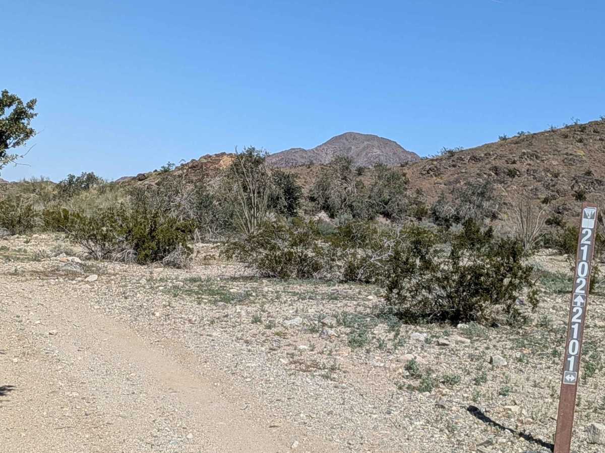 BLM 311 photo 3