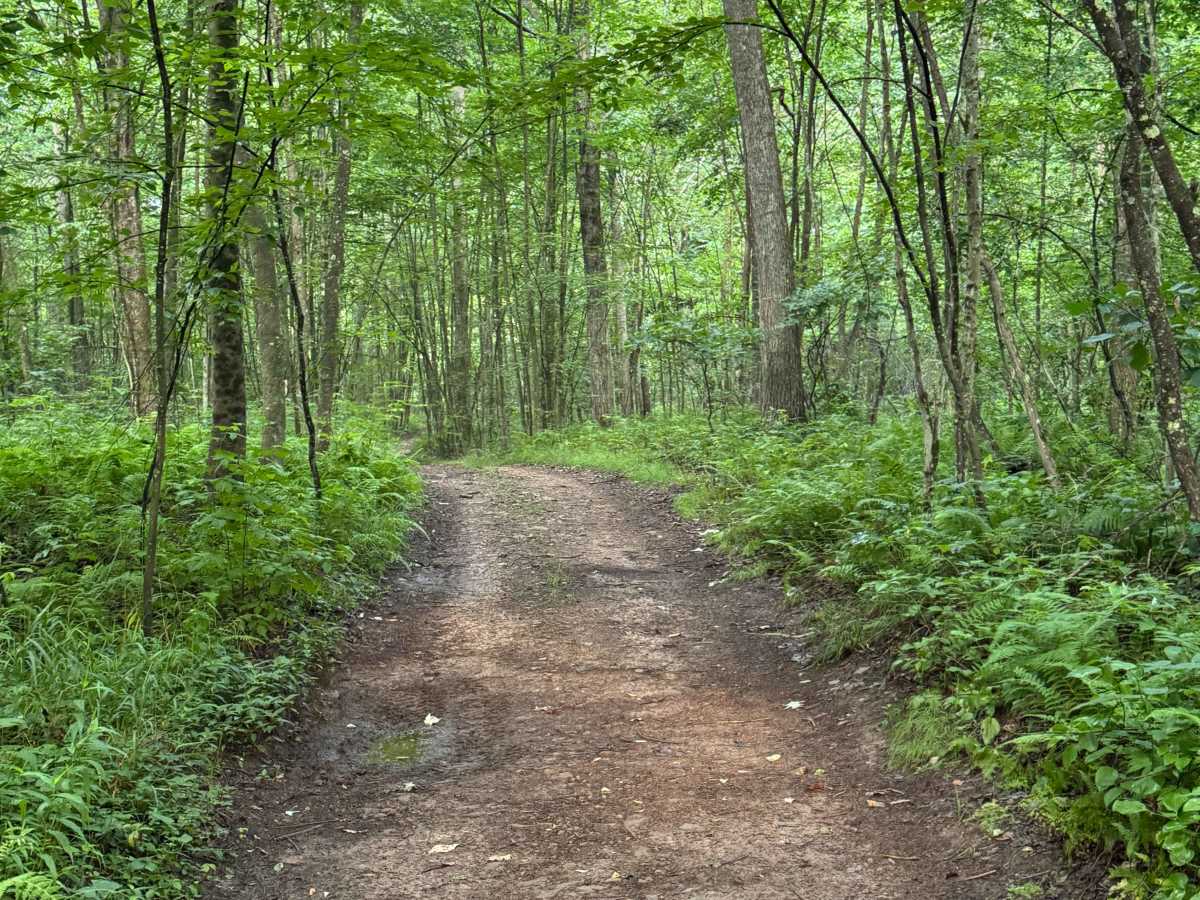Trail 48 photo 3