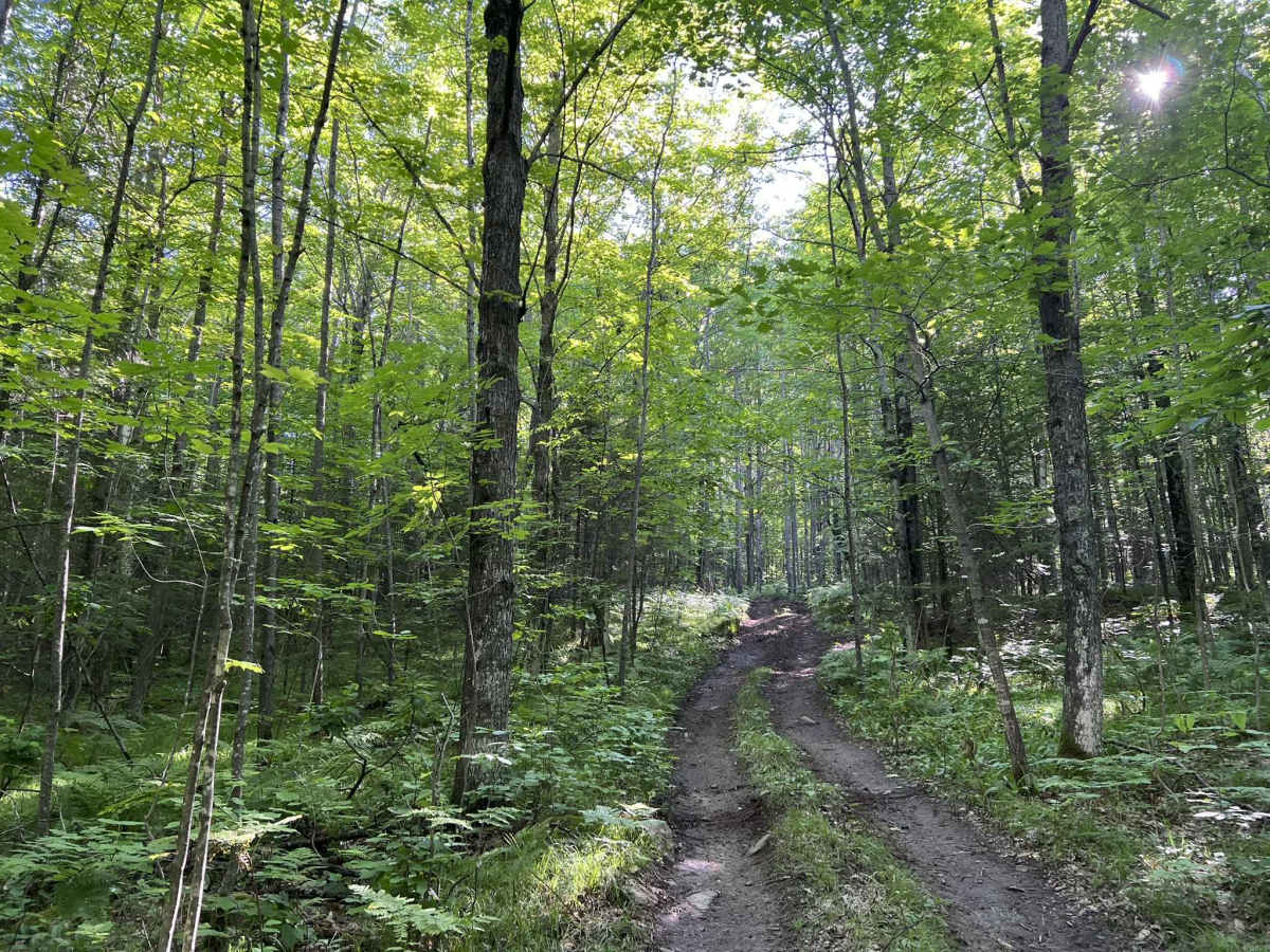 Forest County ATV/ SxS Area Hill Climb Access photo 2
