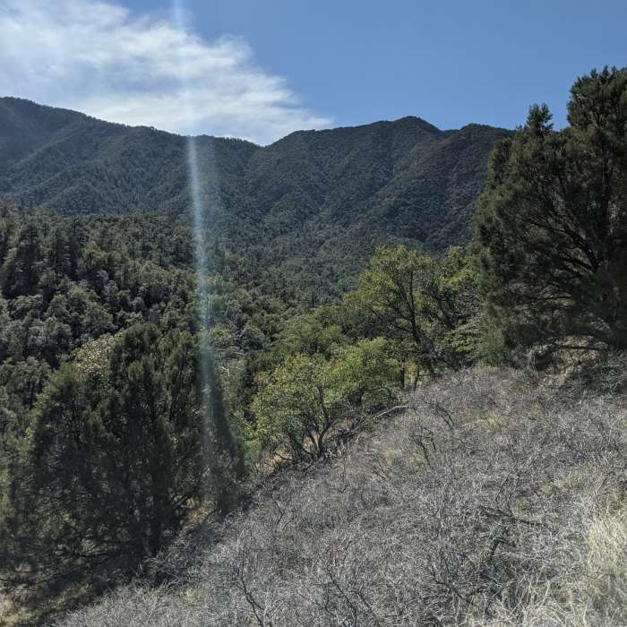 Super Trail View Near Josephine Saddle via Super Trail