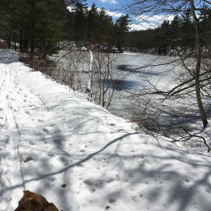 A frozen Salem Pond provides a pleasant sight from Upper Salem Pond Road. Near Bradford Pond Rd - Salem Pond Rd Loop