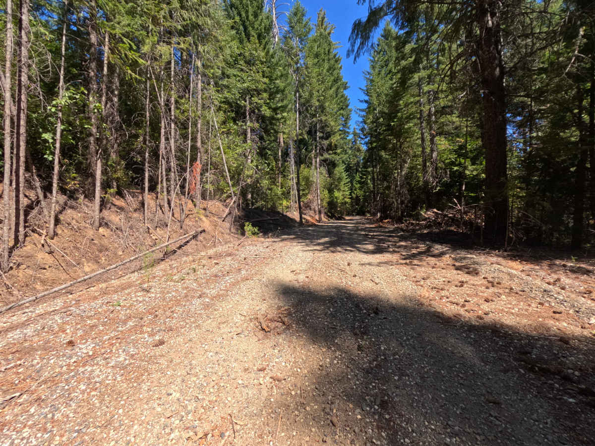 Harrison Ridge - FS 21N20 photo 3