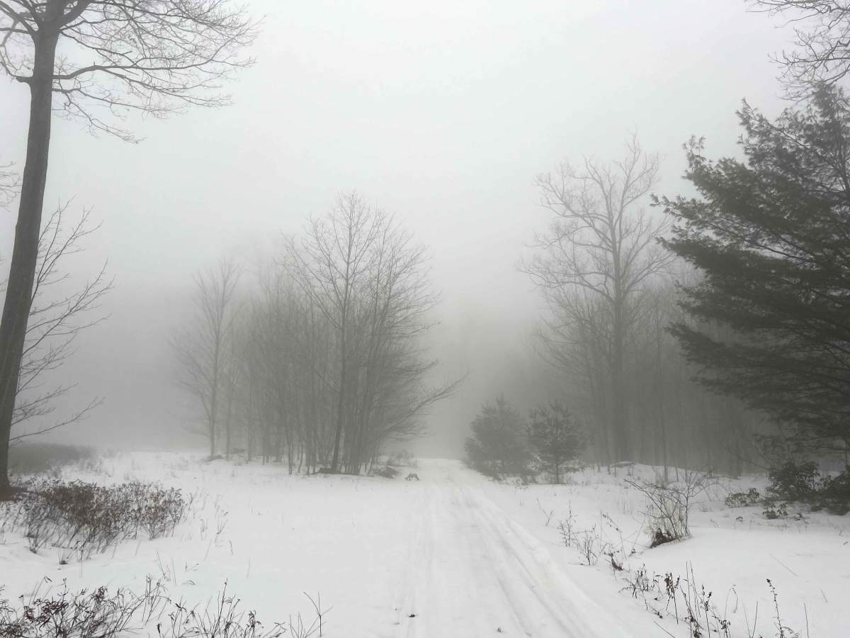 Kinney Hollow Trail photo 3