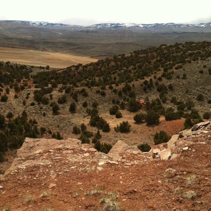 Near Red Ridge Trail