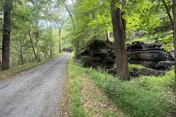 Smithtown Road
