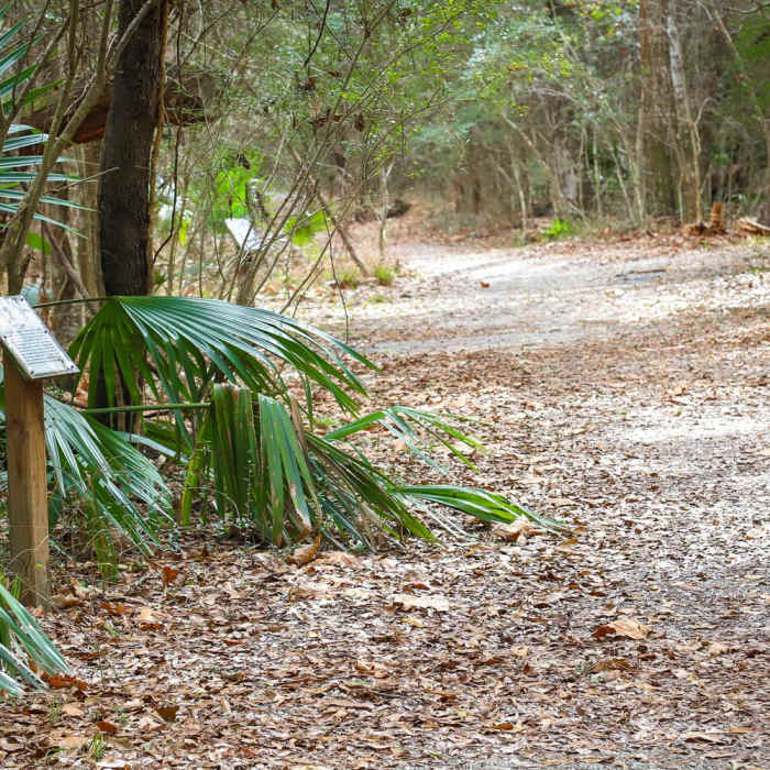 Near Sugar Mill Nature Trail Near Sugar Mill Nature Trail