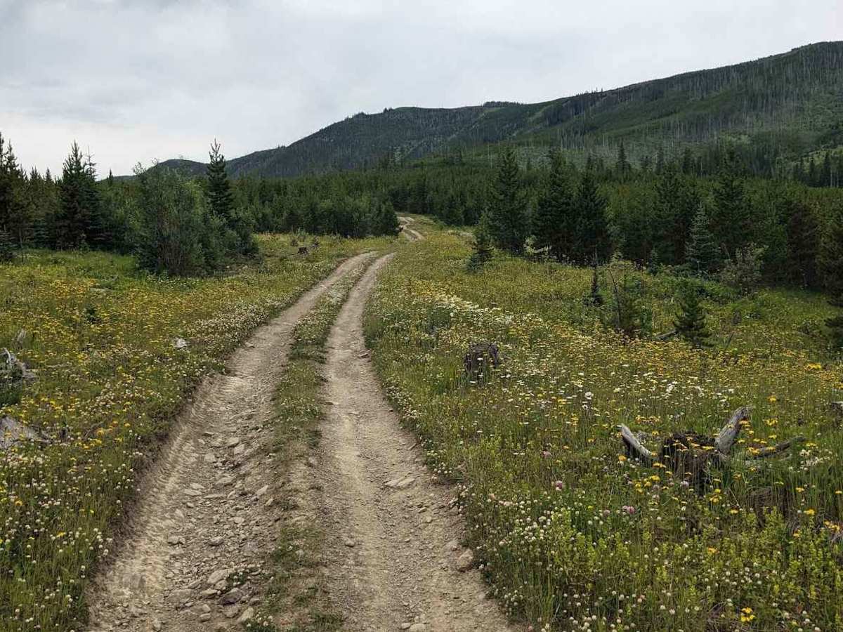 Lyons Creek Loop - Trail 105/102 photo 3