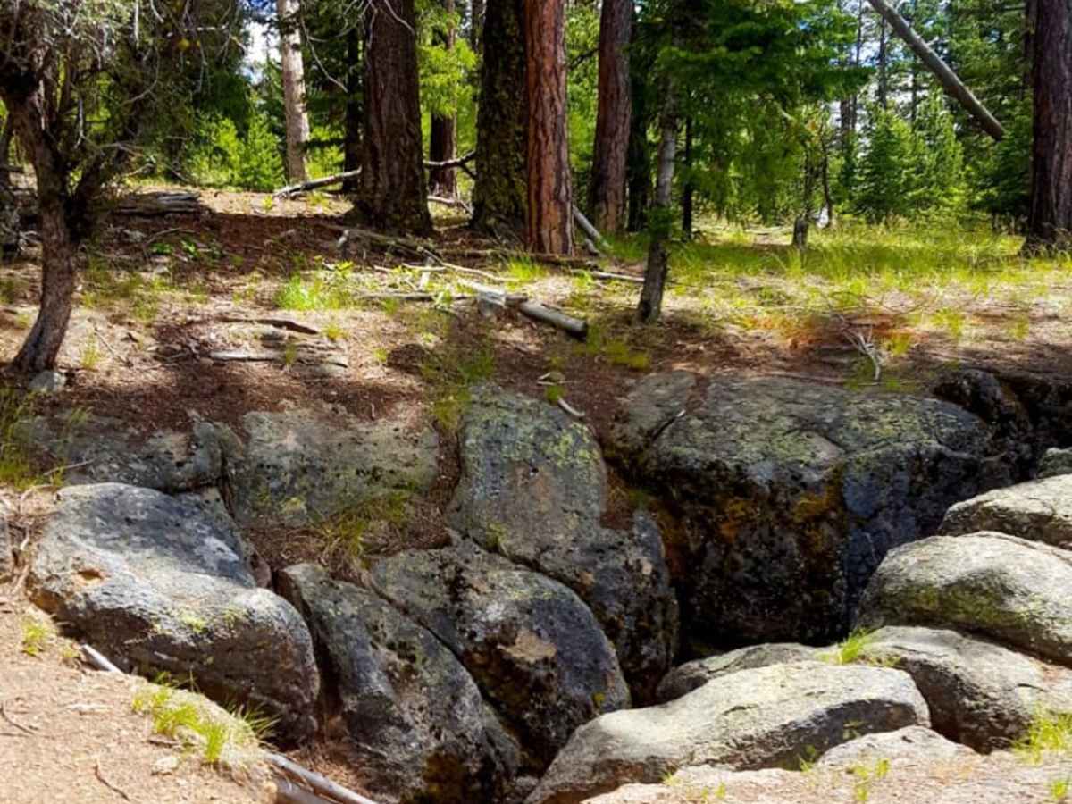 Myrtle Park Ice Cave trail photo