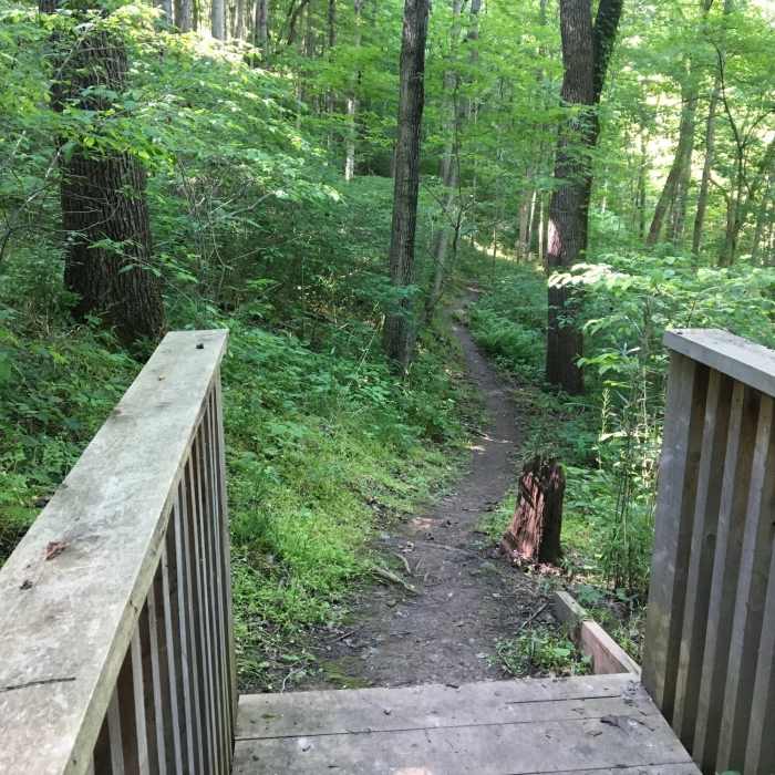 A sturdy bridge aids your passage along the trail. Near Harrods Creek Park