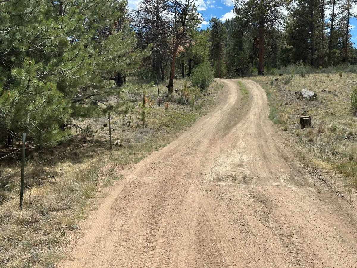 Original Road photo 5