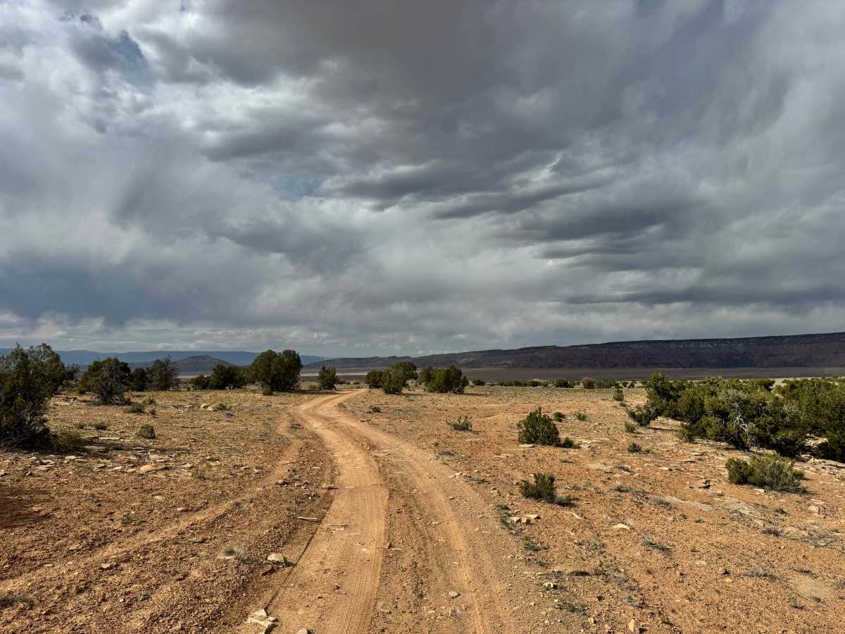 East Wedge photo 3