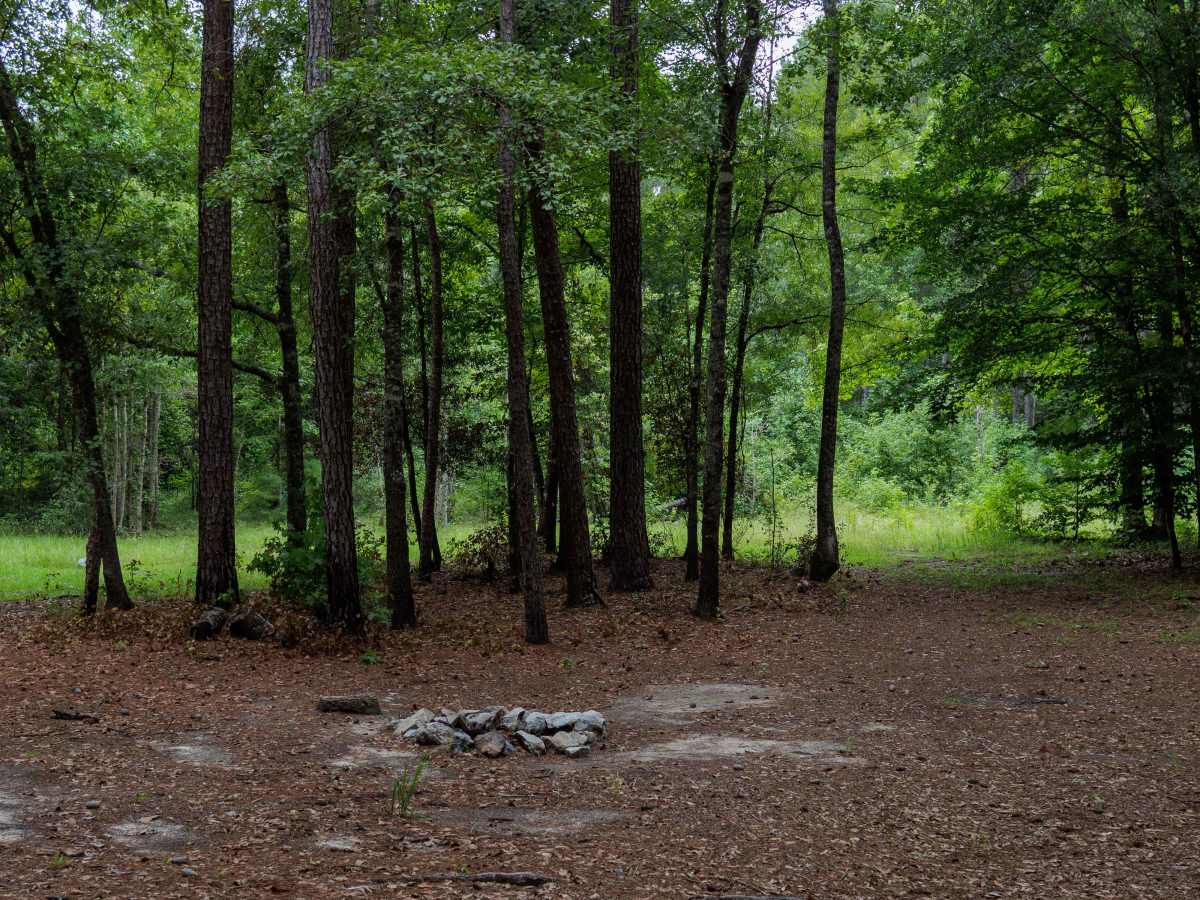 Greenwood Church Road trail photo