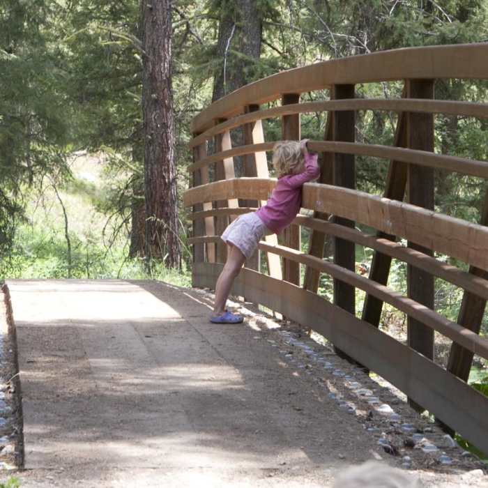 Near Picket Mountain Trail