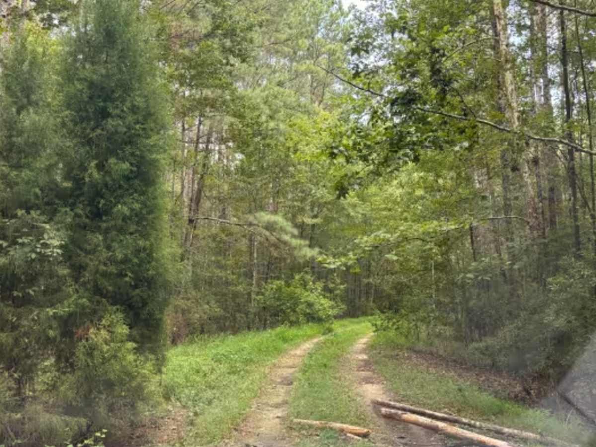 Fish Pond Trail  trail photo