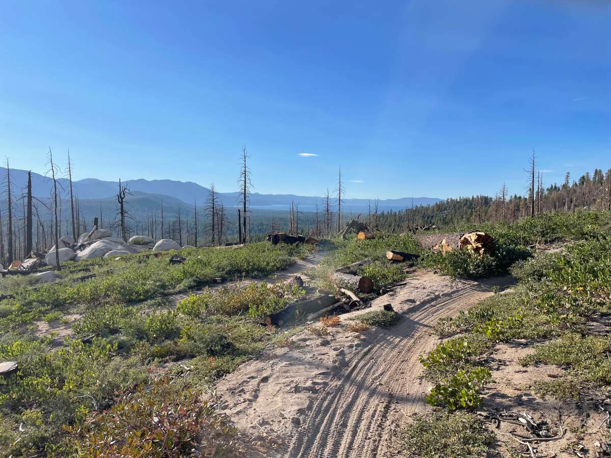 Sierra Sidewinder Trail trail photo