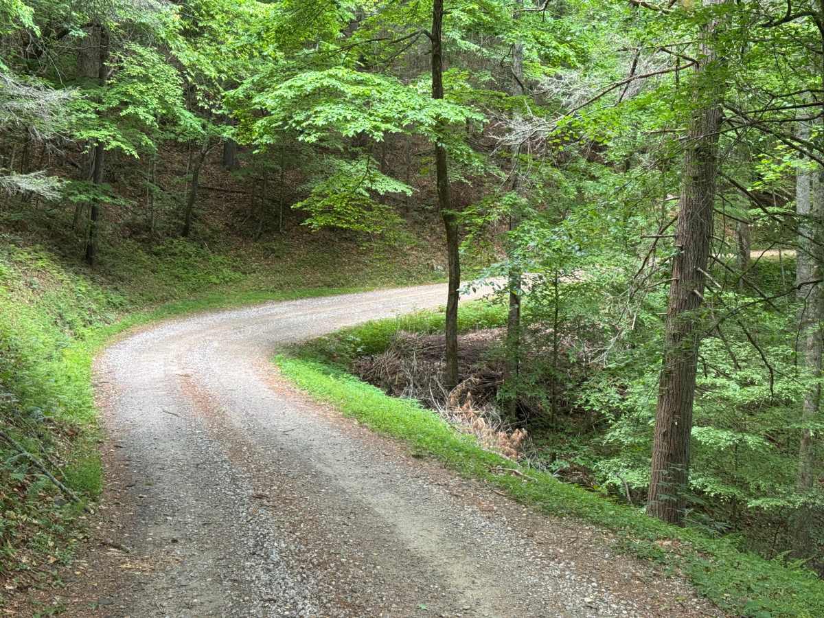 Headtown Creek - FS 656 photo 2