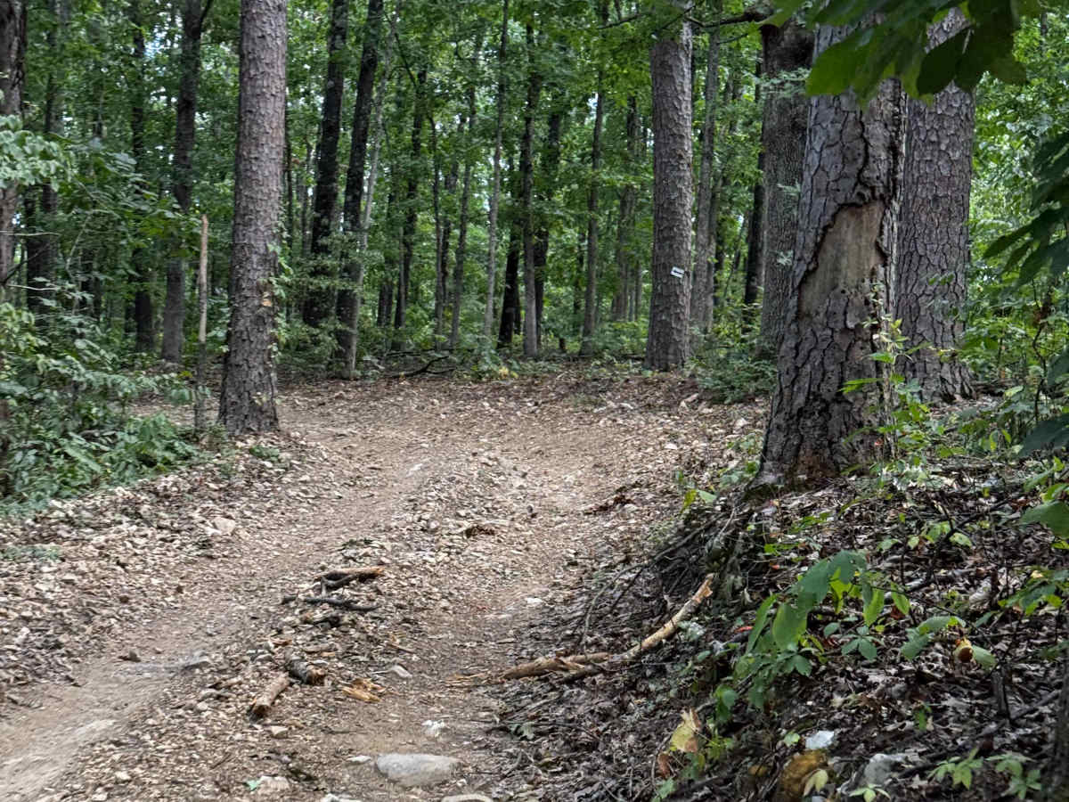 Main Trail  photo 2