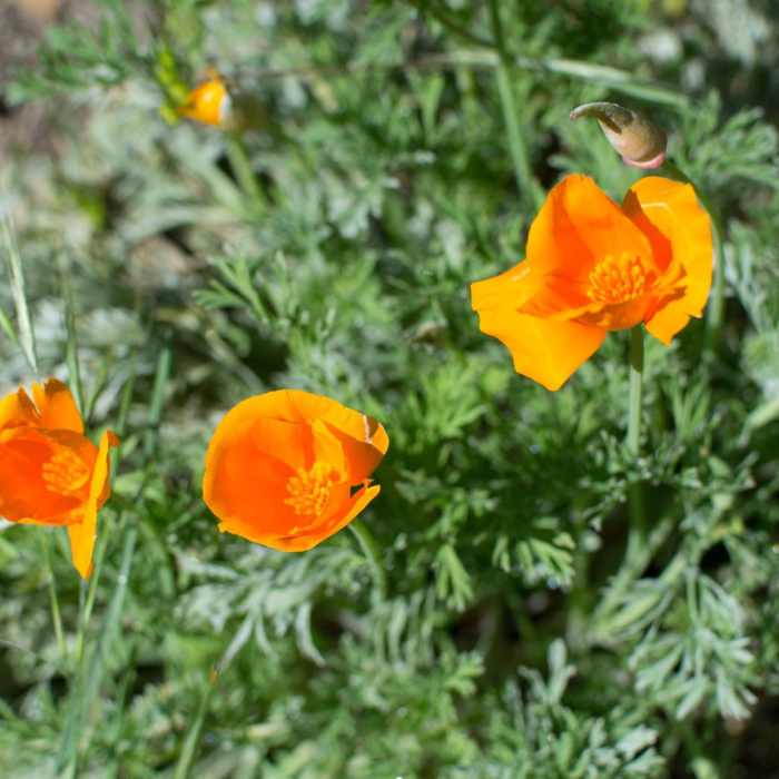 Near Millard Falls Hike