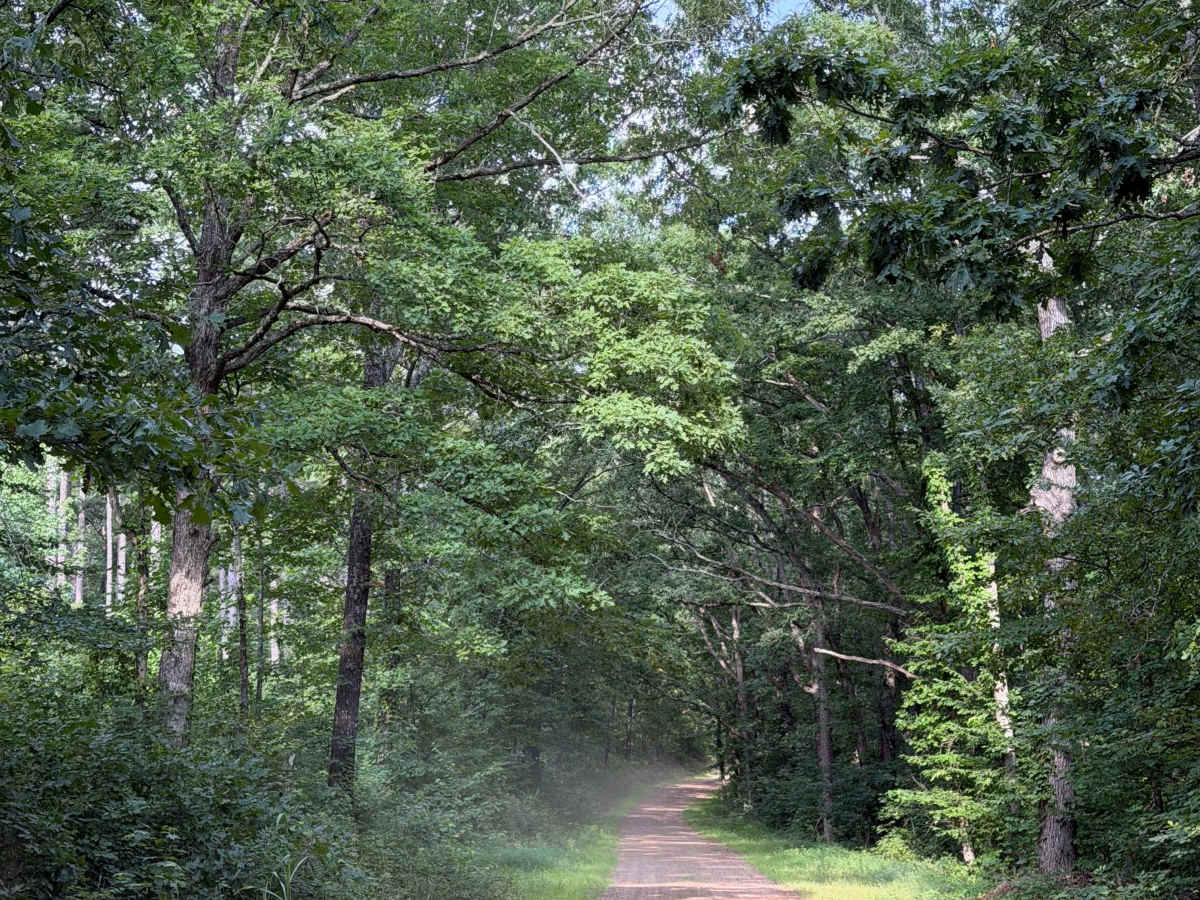 East Fork Bypass photo 2