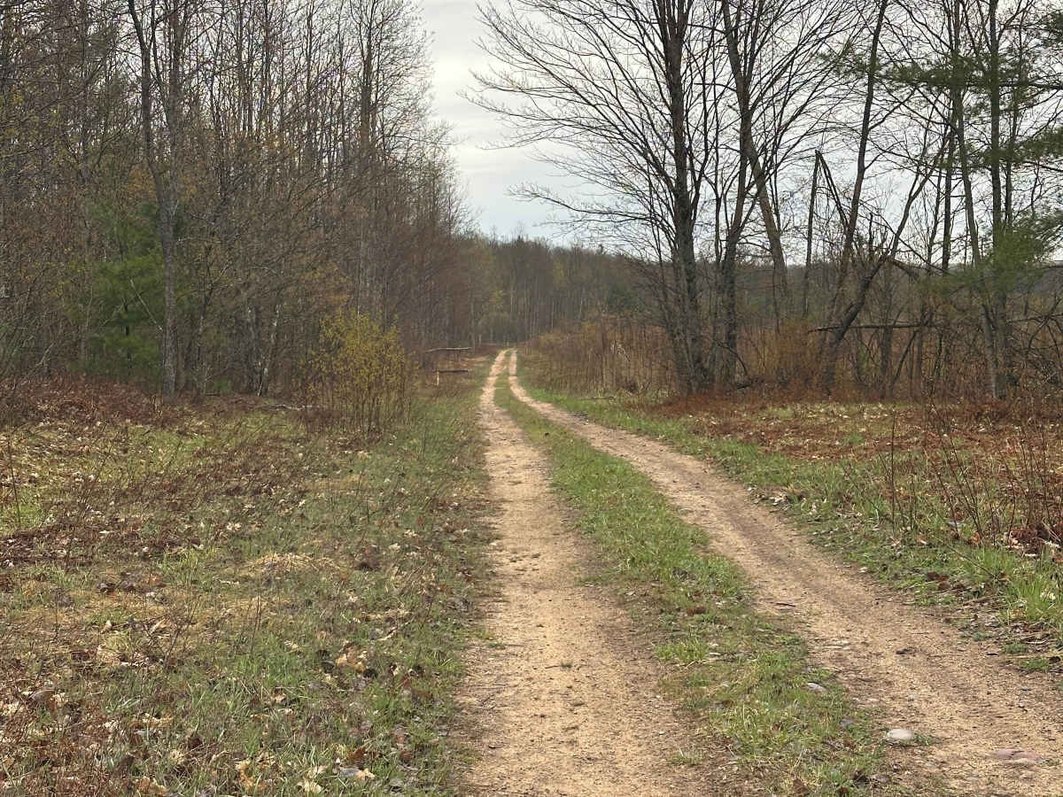 AuSable Loop photo 6