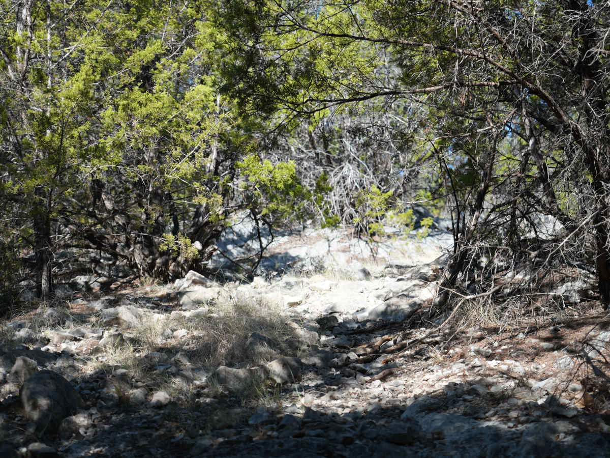 Blue 13 trail photo