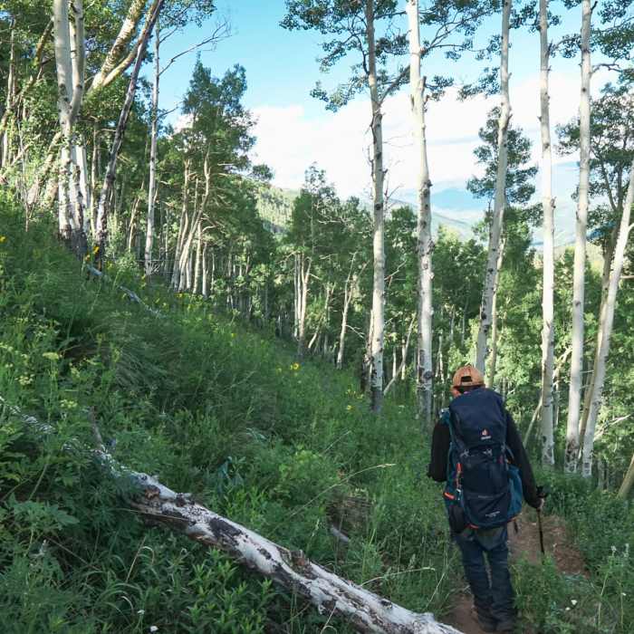 Near West Snowmass Trail #2187