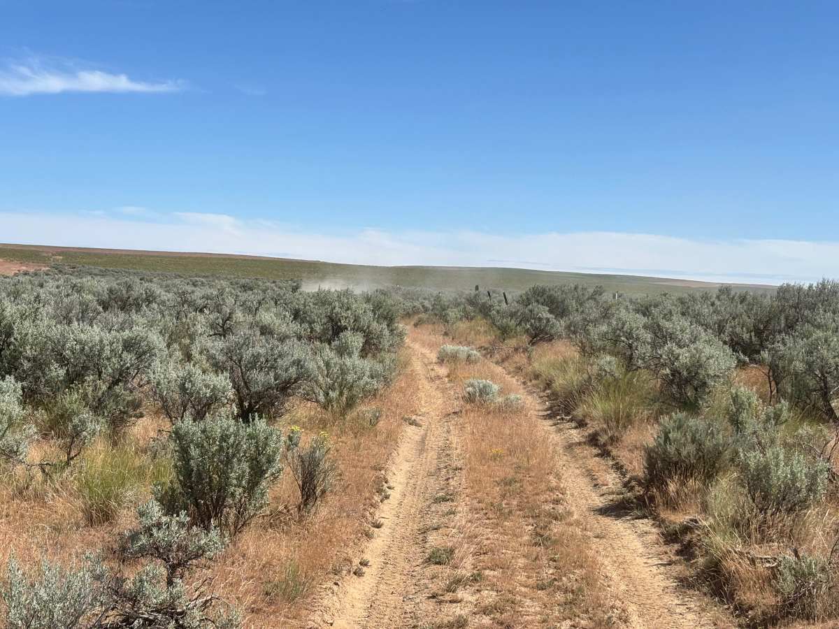 Sagebrush Flats Cattle Trail photo 4