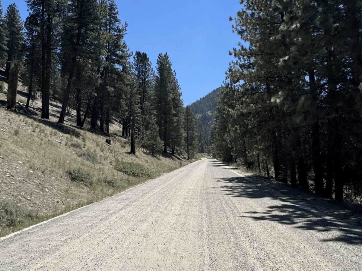 South Fork River Road photo 2