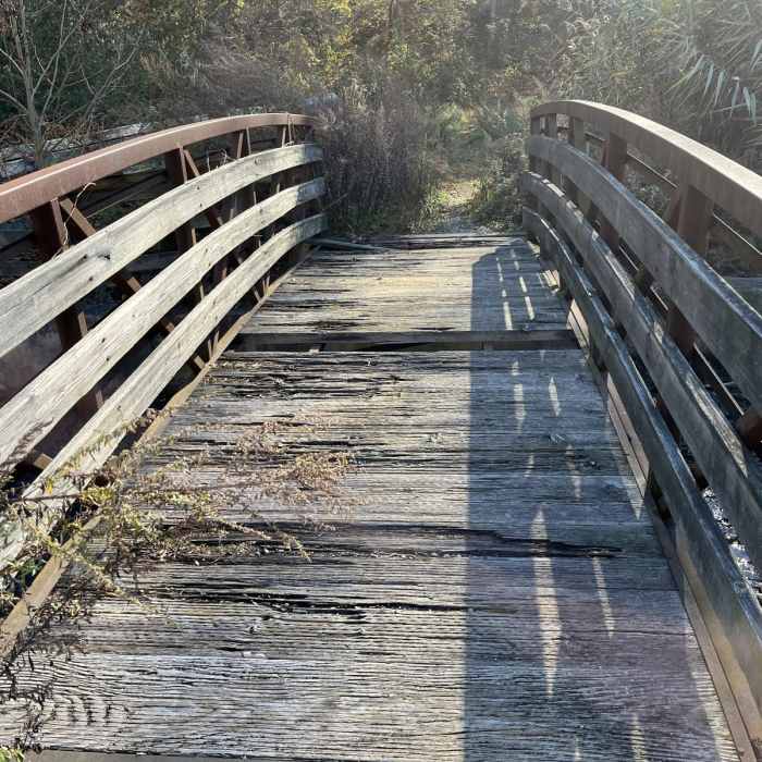 Near Deer Park Loop Near Deer Park Loop