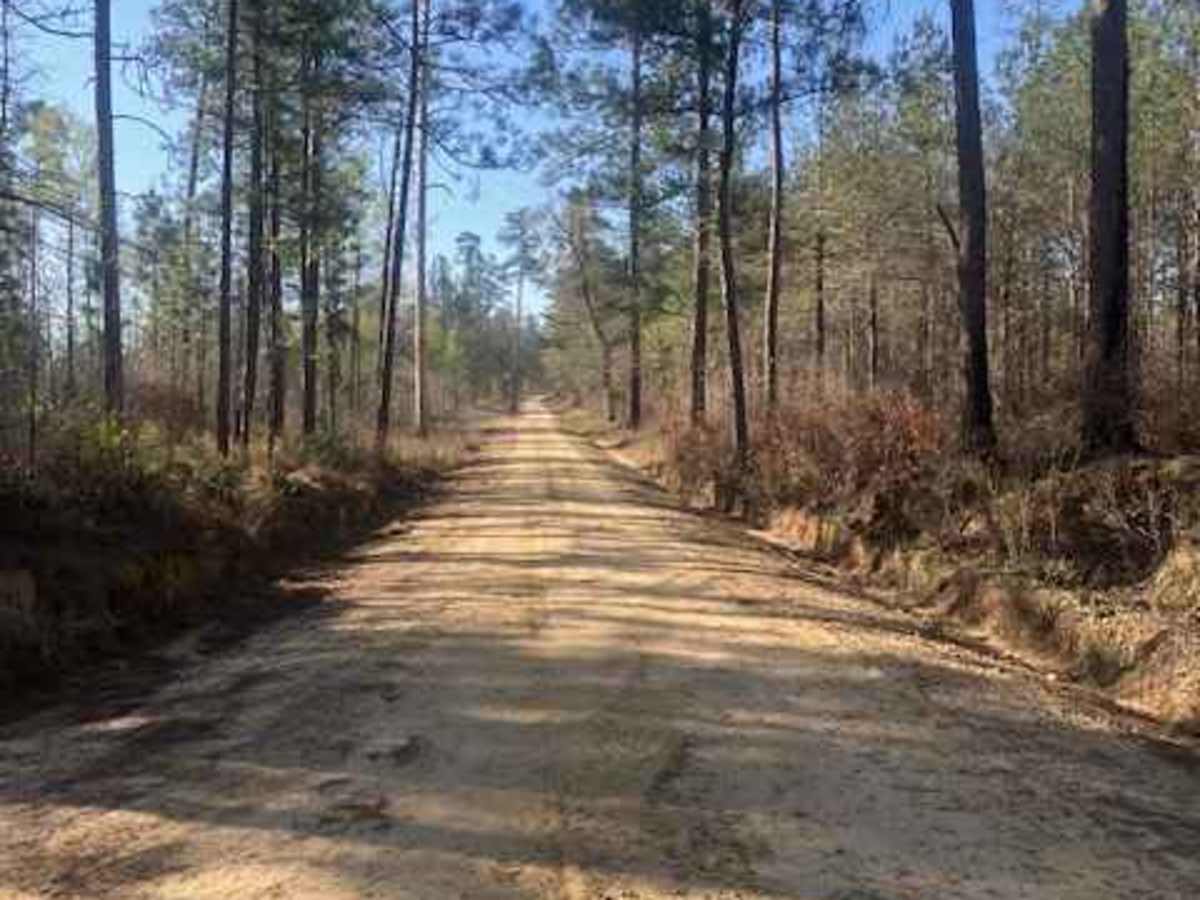 Mason West Road photo 5