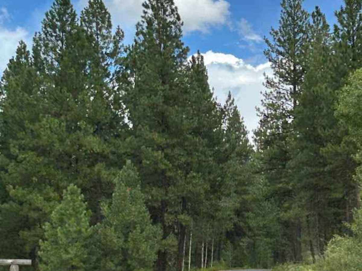West Fork Weiser photo 3