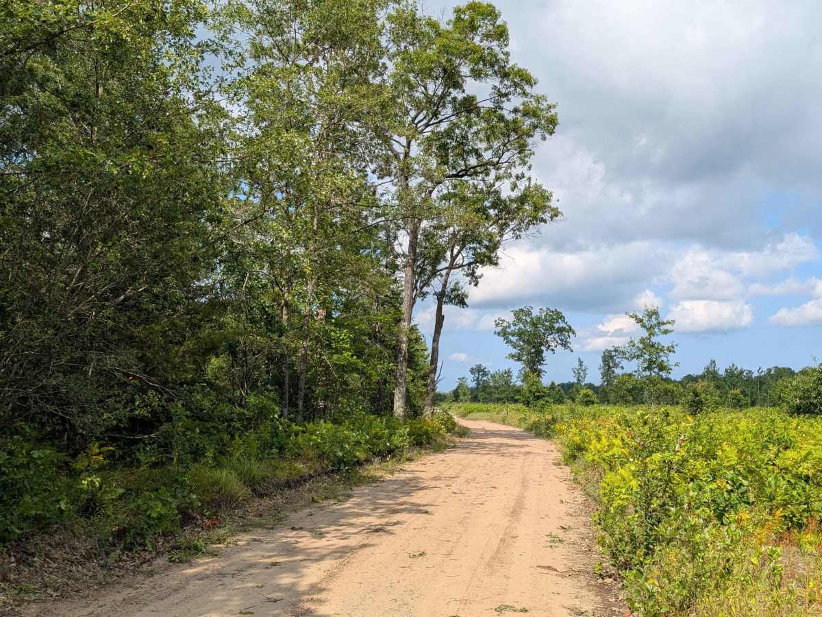 Indian Road trail photo
