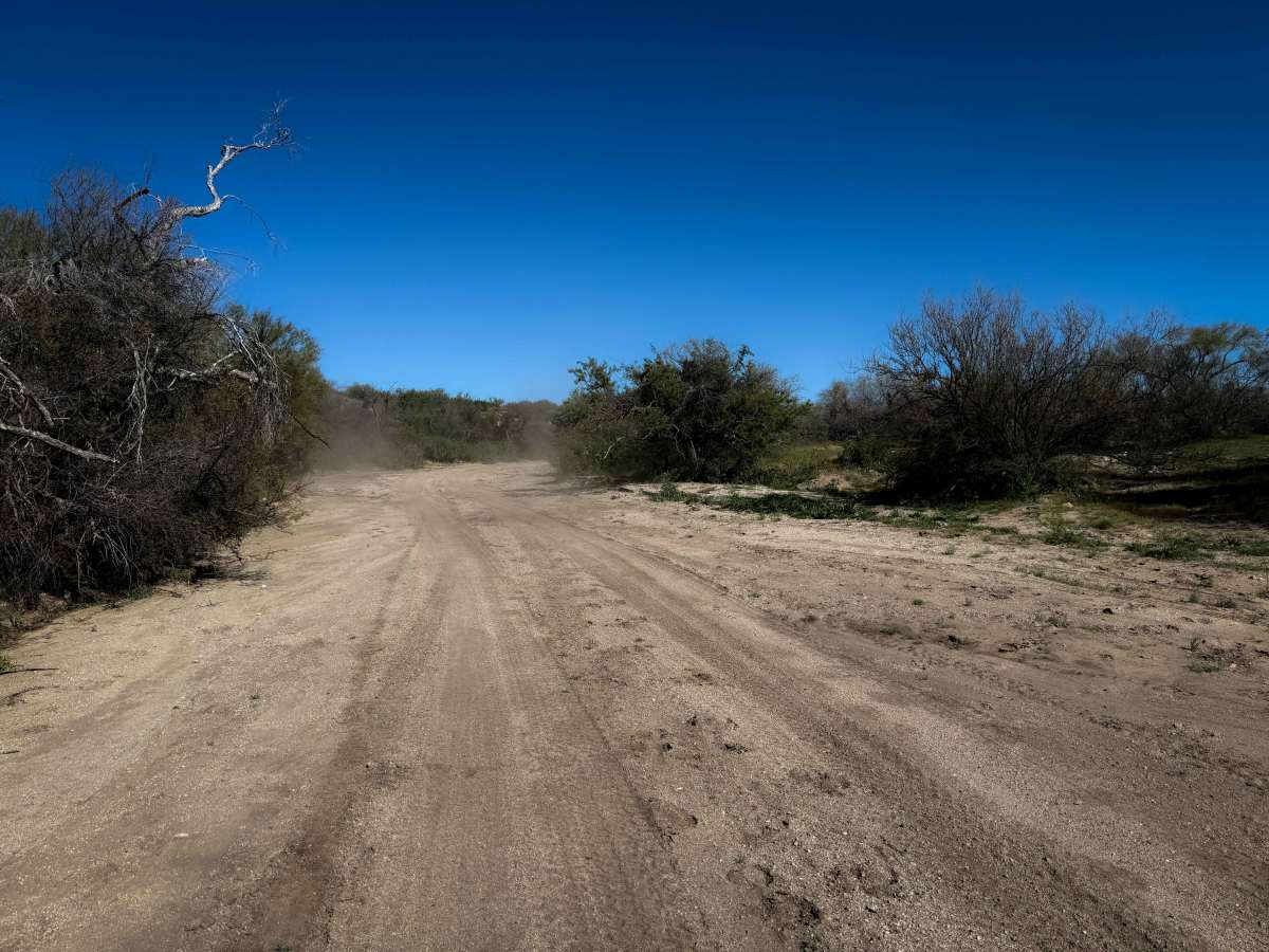 M0775 photo 5