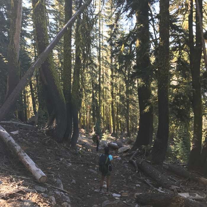 Steep descent to the lake Near Old Caribou Lakes Trail
