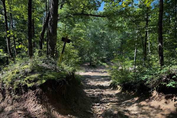 Pond Trail 29 