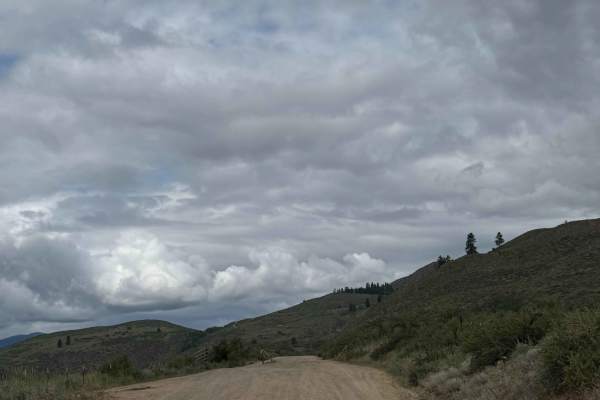 Washout Road - FS 5009-300 