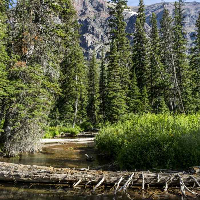 Near Upper Two Medicine Lake Hike