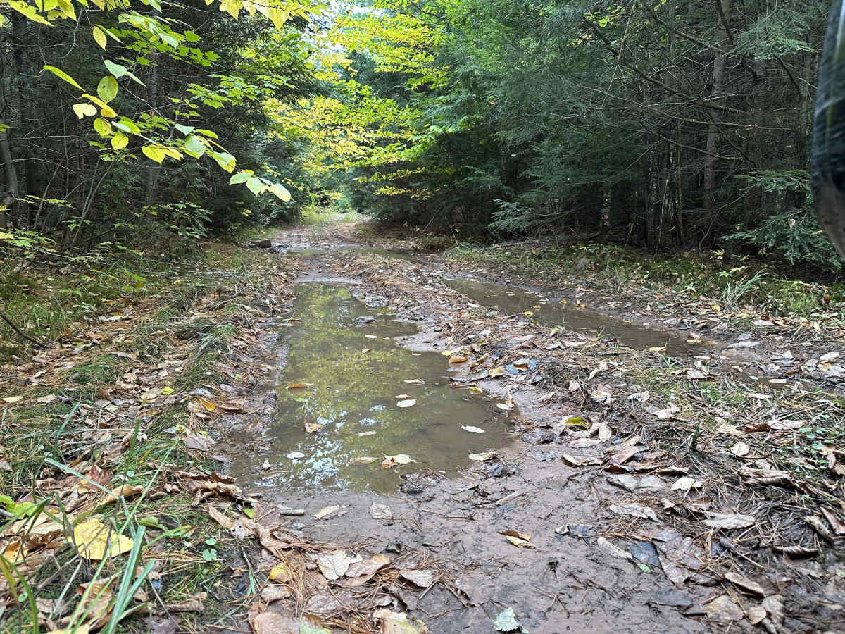 Camp Four Trail photo 3