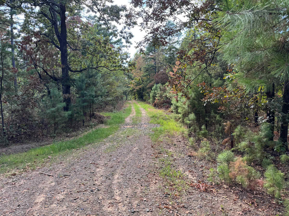 FS 1657 trail photo