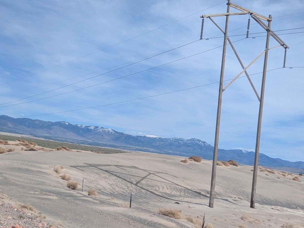 Sheep Trail Road photo 3
