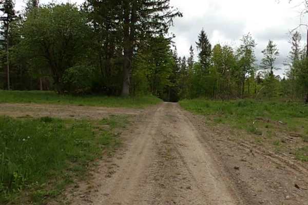 Lewis County Area A - Green Trail