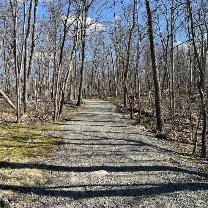 Near Silas Condict Loop Near Silas Condict Loop
