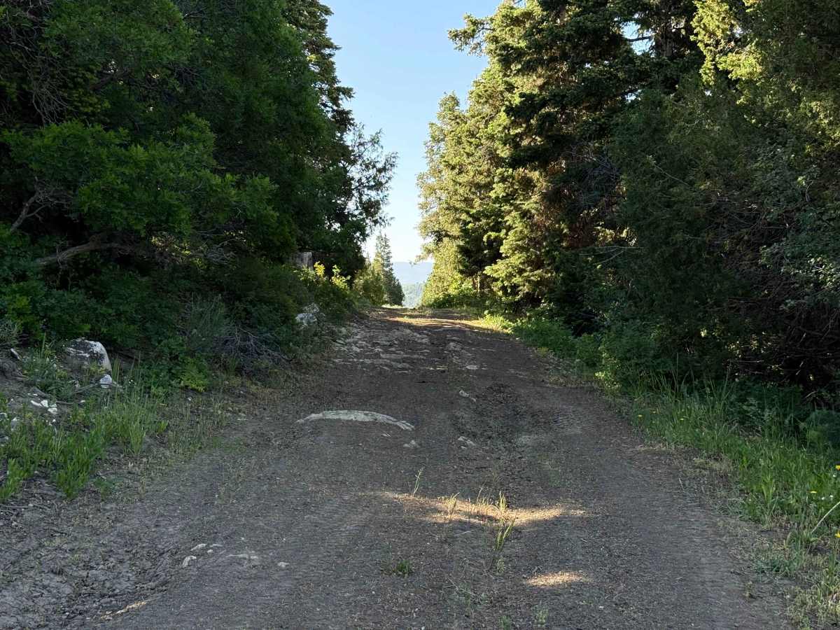 Death Hollow - 50148 photo 5