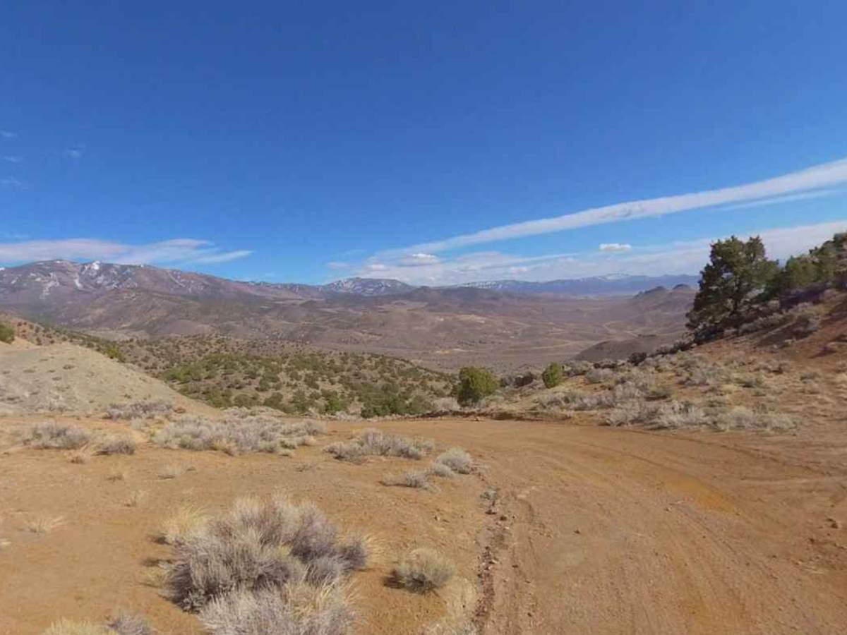 VCA Mine Road photo 4