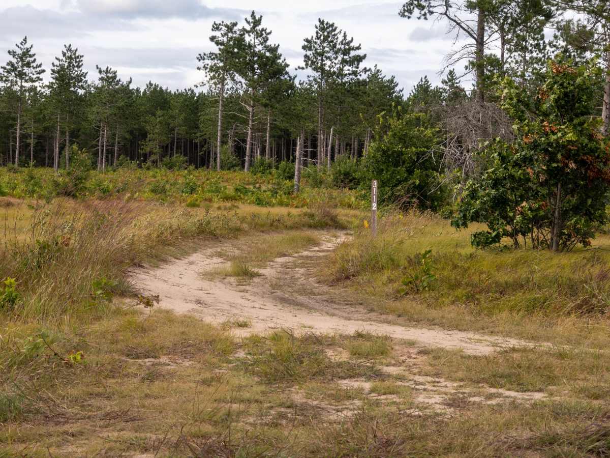 FS 3112 trail photo