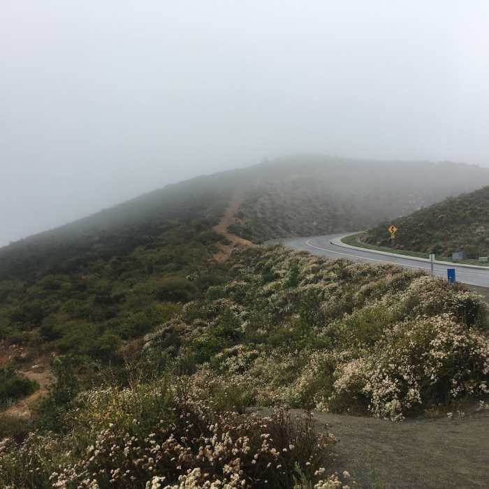 Near Double Peak Trail