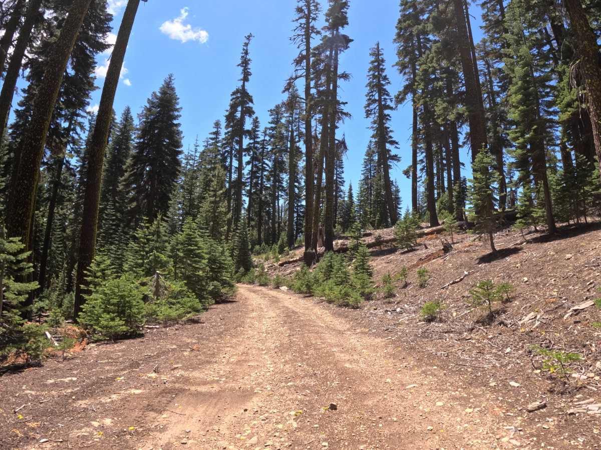 Mohawk heights road - FS 21N21 photo 3