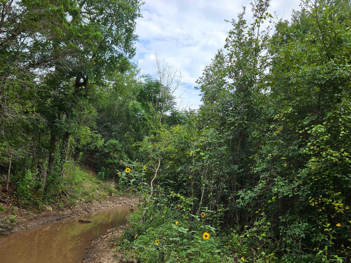 Captain Call Creek photo 3